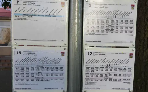 Rozkład jazdy MPK Włocławek dla linii 3, 12, 15 i P. Sprawdź godziny odjazdów autobusów w dni robocze, soboty i święta.