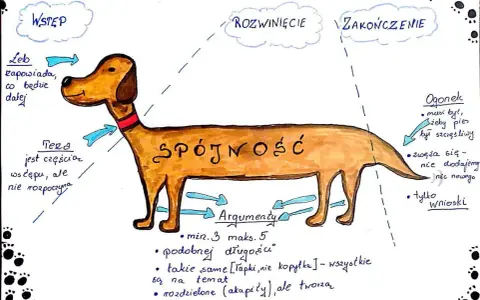 Ilustracja pokazuje psa jako metaforę rozprawki. Głowa to wstęp, tułów to rozwinięcie, a ogonek to zakończenie. Jak zakończyć rozprawkę? Wnioskami, bez dodawania nic nowego.