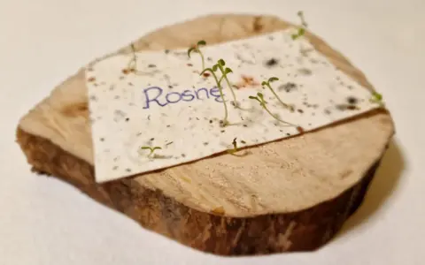 Papier z nasionami "Rosną" na drewnianym krążku, symbolizujący przyczyny sukcesu zaproszeń z motywem ekologicznym.