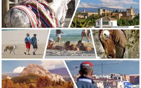 Bunte Collage mit Esel, Alhambra, Strandleben, Geier und Berglandschaft – typische Eindrücke für Spanien Ferien.