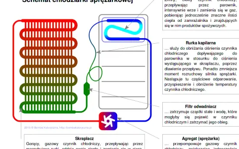 Jak działa lodówka? Odkryj sekrety chłodzenia i oszczędzaj prąd!