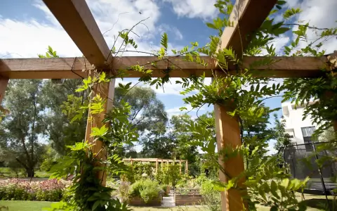 Drewniana pergola z pnączami, idealna do projektu oświetlenia ogrodu. W tle widać rabaty kwiatowe i budynek.