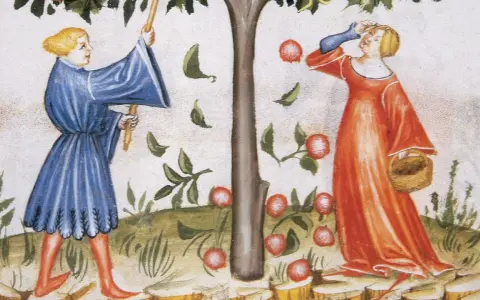 Zwei Frauen im Mittelalter pflücken Äpfel von einem Baum. Eine Frau in Blau schüttelt den Baum, die andere in Rot sammelt die Früchte in einem Korb.