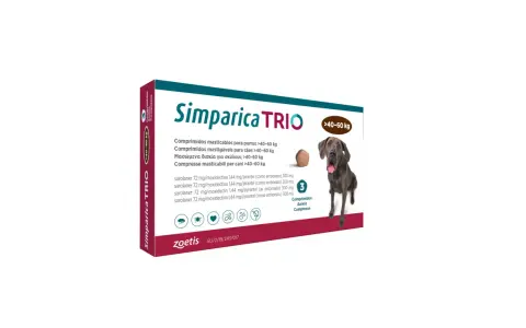Tribiotic dla psa? Zanim użyjesz: ryzyko i bezpieczne alternatywy