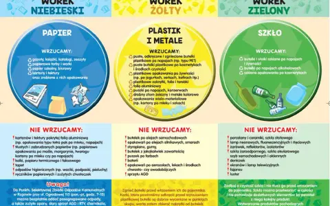 Jak segregować śmieci - uniknij najczęstszych błędów i oszczędzaj