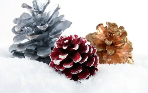 Piñas decoradas en tonos plateado, burdeos y dorado, cubiertas de nieve, evocan la magia del otoño y la anticipación de las fiestas.