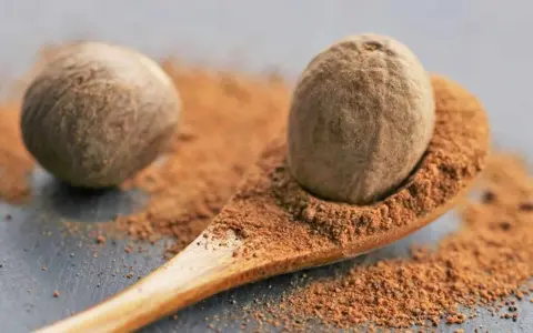 Eine Muskatnuss auf einem Holzlöffel mit gemahlenem Muskatnuss. Vorsicht bei Muskatnuss in der Schwangerschaft.