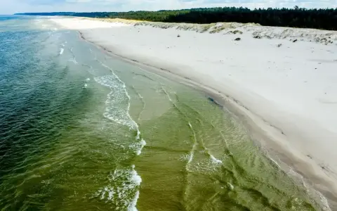 Plaża Słajszewo: szeroka, piaszczysta plaża z zielonymi wodami Bałtyku i lasem w tle. Idealne miejsce na spokojny spacer.