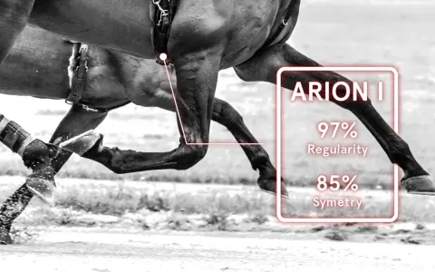 L'allure cheval est analysée : 97% de régularité et 85% de symétrie.