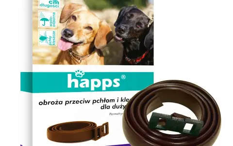 Najlepsza obroża przeciw kleszczom – uniknij zagrożeń dla swojego pupila