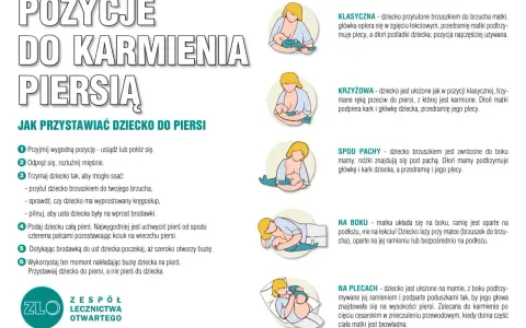 Ilustracje pokazują różne pozycje do karmienia piersią: klasyczną, krzyżową, spod pachy, na boku i na plecach. Poradnik pomaga w nauce przystawiania dziecka do piersi.