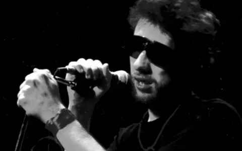 Chanteur d'un groupe irlandais punk, lunettes de soleil, micro en main, sur scène.