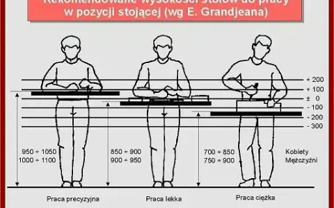 Optymalna wysokość blatu warsztatowego? Zadbaj o komfort i plecy!