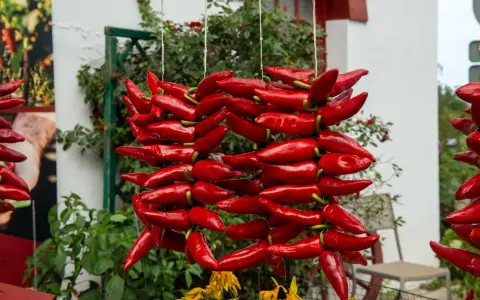 Des piments d'Espelette rouges, séchant en guirlandes, évoquent la richesse de leur culture.