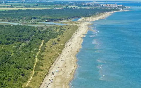 Lunga spiaggia sabbiosa con pineta alle spalle e mare azzurro. Alcune persone prendono il sole, creando un'atmosfera rilassata da spiaggia nudisti.