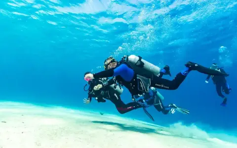 Marsa Alam: Co warto zobaczyć? Podwodne cuda i pustynne przygody