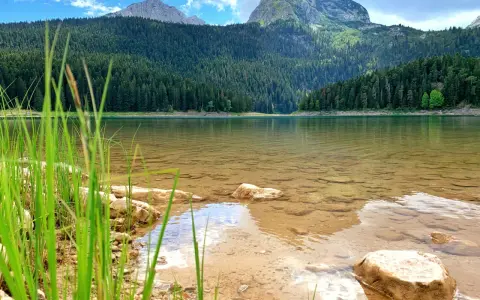 Spokojne jezioro w Durmitor National Park, otoczone gęstym lasem iglastym i majestatycznymi górami.