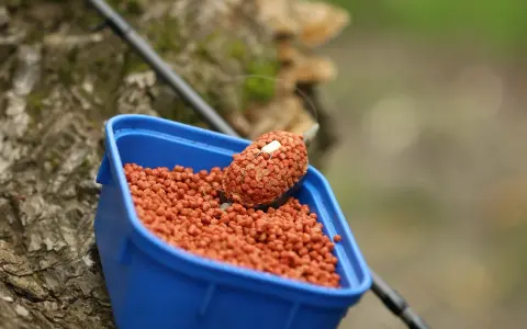 Zbliżenie na niebieskie pudełko z pomarańczowym pelletem, idealnym jako jaki pellet do metody na karpia. Na wierzchu znajduje się podajnik z przynętą.