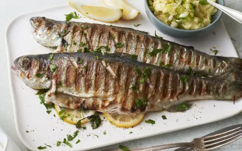 Zwei perfekt gegrillte Forellen liegen auf einem Teller, garniert mit Petersilie und Zitronenspalten. Dazu gibt es Kartoffelpüree mit Frühlingszwiebeln. Ein Genuss für alle, die Forelle grillen lieben.