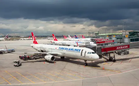 Samoloty tureckich linii lotniczych Turkish Airlines czekają na pasażerów przy rękawach lotniskowych.