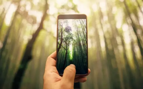 Jaka jest najlepsza rozdzielczość aparatu w telefonie, aby uniknąć rozczarowania?