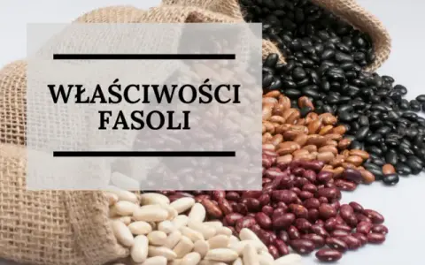Czy fasola jest dietetyczna? Odkryj jej niesamowite właściwości zdrowotne