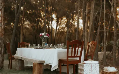 A beautifully set table in a forest clearing, ready for the reception and care of guests. String lights twinkle above, and a floral centerpiece graces the linen-covered table.