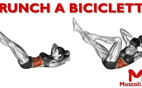 Crunch a bicicletta: dimostrazione dell'esercizio che coinvolge i muscoli addominali, con enfasi sulla definizione.