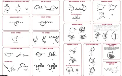 Diagramas de puntadas para bordar a mano: puntada recta, corrida, de contorno, de cadena, de botón, de nudo francés, de espiga, de araña, de cruz, de pluma, de satén, de margarita perezosa, de lomo y de espiga.