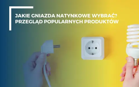 Jakie gniazda natynkowe wybrać? Przegląd popularnych produktów. Dłoń trzyma wtyczkę i żarówkę, obok gniazdko.