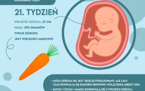 Ile waży dziecko w 21 tygodniu – zaskakujące fakty o wadze płodu