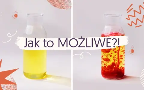 Olej i woda: Proste eksperymenty, które zachwycą Twoje dziecko!