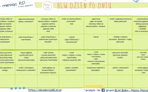 Jadłospis dla 9-miesięcznego dziecka: domowy chleb, zupy, placki, omlety i inne zdrowe posiłki.