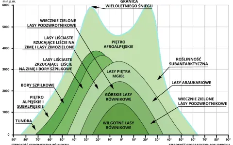 Piętra roślinności w Tatrach: od tundry po wiecznie zielone lasy podzwrotnikowe, zależnie od szerokości geograficznej i wysokości.