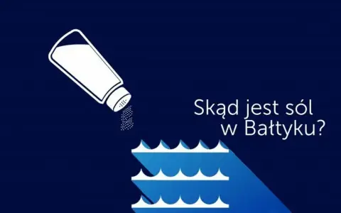 Dlaczego Bałtyk jest słabo zasolony? Odkryj zaskakujące przyczyny