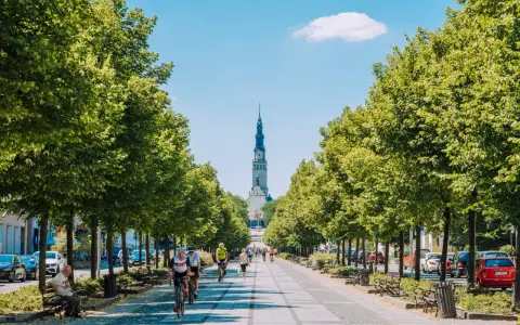 Aleja z drzewami prowadzi do Jasnej Góry. Rowerzyści i spacerowicze korzystają z pięknej pogody, odkrywając częstochowskie atrakcje.