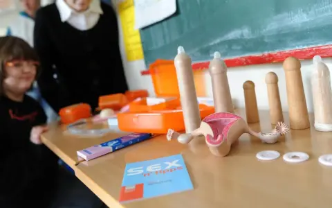 Modelle für Sexualkunde Klasse 6: Anatomie, Kondome und Aufklärungsmaterialien auf einem Tisch.