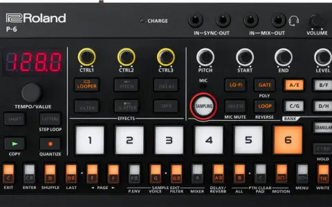 Roland P-6 z przyciskiem SAMPLING. Dowiedz się, sampler co to jest i jak działa na tym urządzeniu.