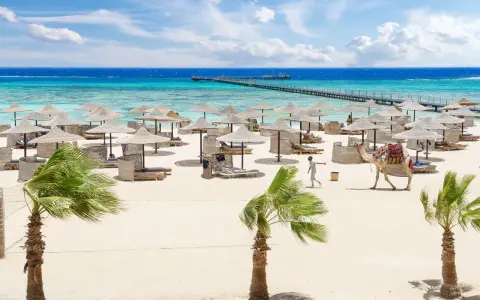 Piękna plaża z palmami, leżakami i wielbłądem. Idealne miejsce na wakacje, zgodnie z protels crystal beach resort opinie.