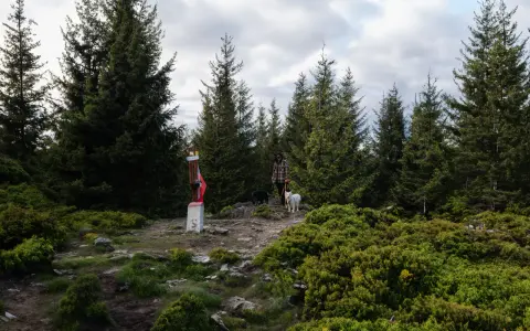 Na szlaku do najwyższego szczytu Gór Złotych. Osoba z dwoma psami przy słupku granicznym.