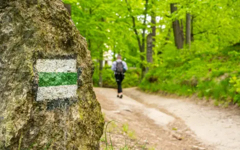 Szlak turystyczny w lesie, prowadzący do Jeleniej Góry. Widać kamień z oznaczeniem szlaku i idącą ścieżką osobę. Jakie góry czekają na odkrycie?