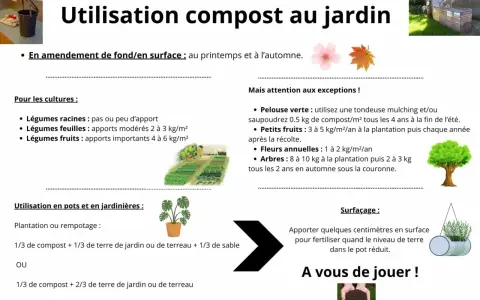 Guide pour utiliser le thé de compost au jardin : amendement, cultures, pots et jardinières. Conseils pour un jardinage sain.