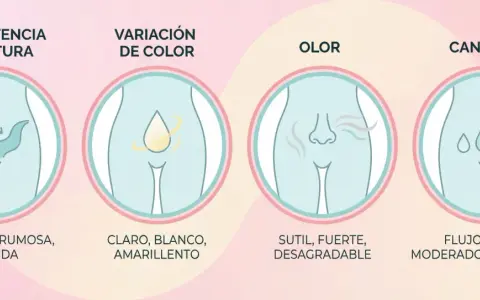 Ilustración sobre consistencia, color, olor y cantidad del moco vaginal. Muestra variaciones normales y posibles señales de alerta.