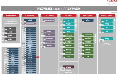 Przykładowe użycie przyimków: "z" (kogo czego) w dopełniaczu, "na" (kogo czego) w bierniku, "przy" (kim czym) w miejscowniku.