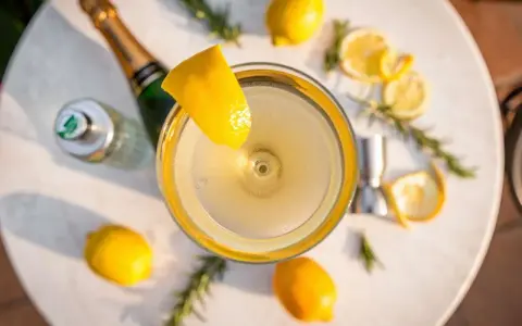 Ein erfrischender French 75 Cocktail mit Zitrone und Rosmarin. Das perfekte Rezept für einen Aperitif.