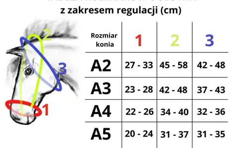 Tabela rozmiarów kantarów dla koni z zakresem regulacji (cm). Ilustracja pokazuje głowę konia z zaznaczonymi obszarami pomiaru.