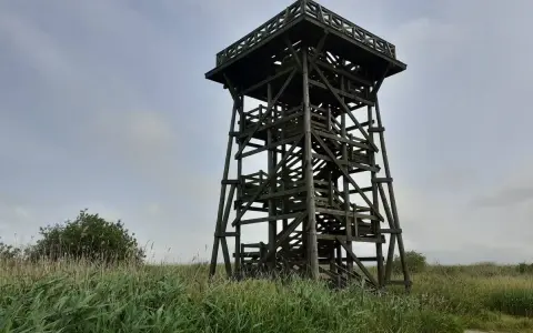 Drewniana wieża widokowa nad jeziorem Gardno, otoczona wysoką trawą. W dole widać fragment roweru.