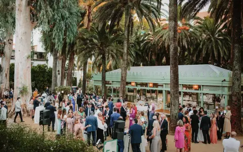 Invitados disfrutan de una boda tipo coctel al aire libre, rodeados de palmeras y eucaliptos. Un pabellón verde al fondo ofrece un espacio cubierto.