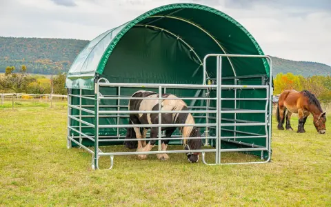 Deux chevaux dans un pré, l'un sous un abri vert. Idéal pour le tarif location pâture pour chevaux.