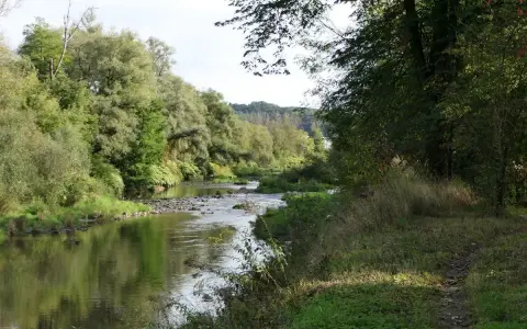 Malowniczy zakręt rzeki, idealny na rowerowy Cieszyn. Zielone drzewa odbijają się w spokojnej wodzie, a ścieżka wije się wśród traw.